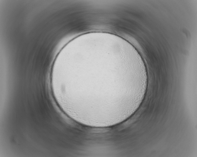 X0000114221440200911061457