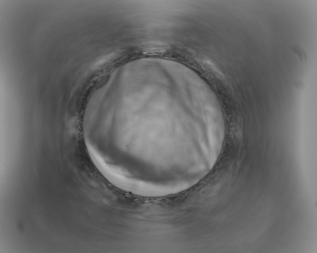 X0000114221445200911061457