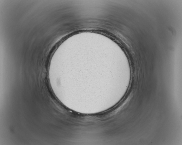 X0000114221449200911061456