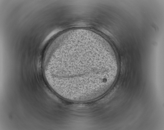 X0000114221450200911061456