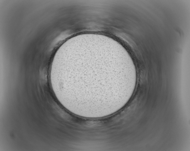 X0000114221451200911061456