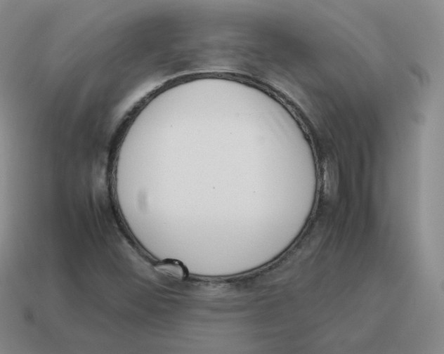 X0000114221452200911061456