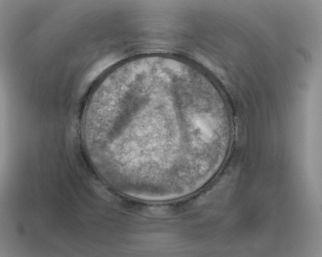 X0000114221453200911061456