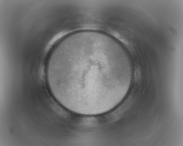 X0000114221454200911061456