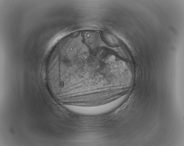 X0000114221455200911061456