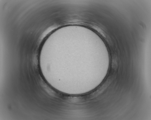 X0000114221458200911061456