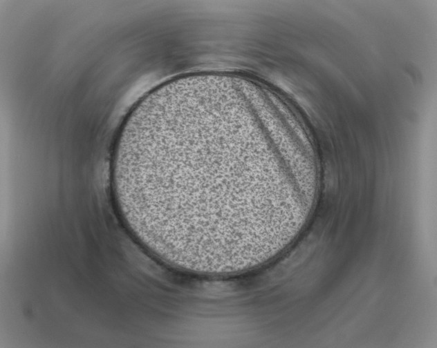 X0000114221459200911061456