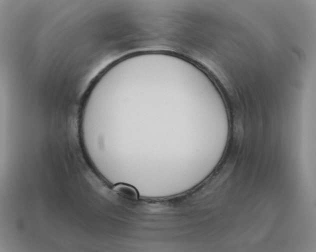 X0000114221460200911061456