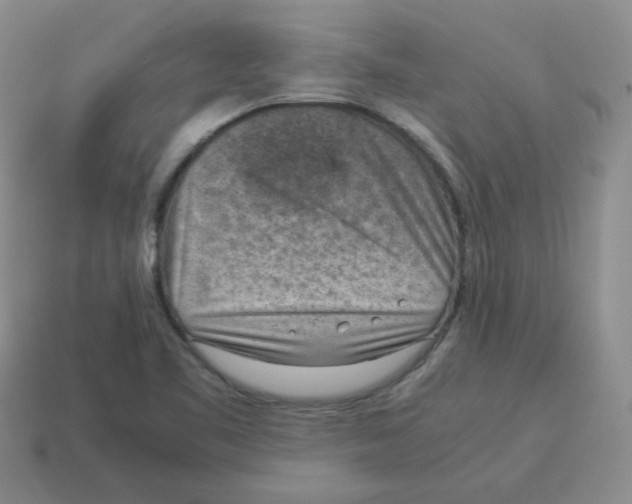 X0000114221461200911061456