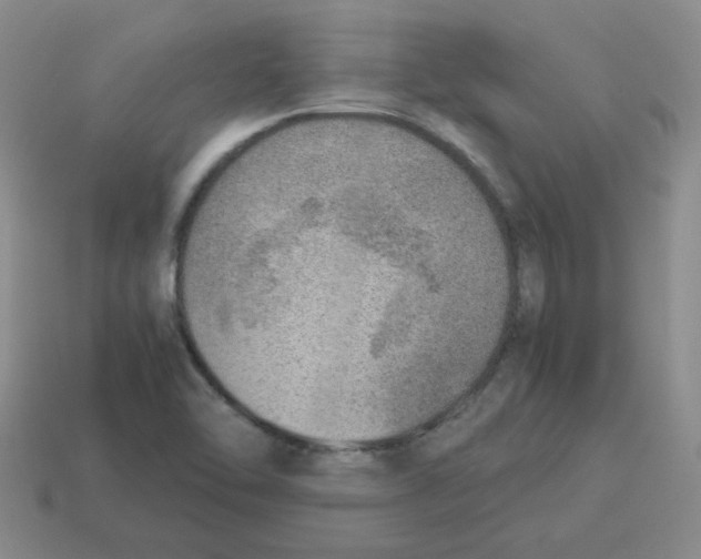 X0000114221462200911061456