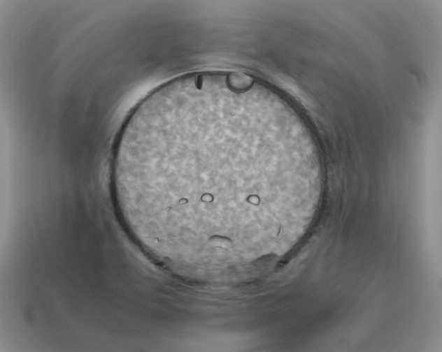 X0000114221463200911061456