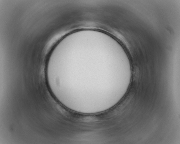 X0000114221464200911061456