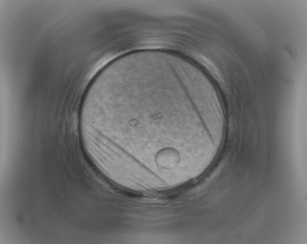 X0000114221465200911061456