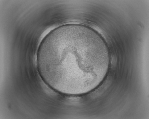 X0000114221466200911061456