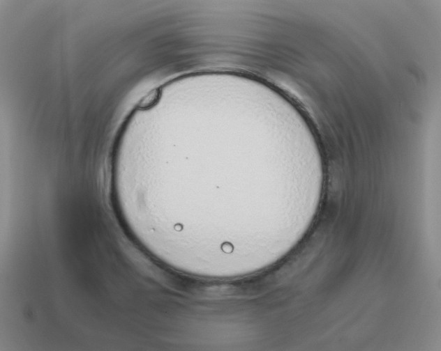 X0000114221467200911061456