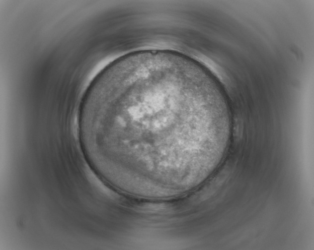 X0000114221468200911061456