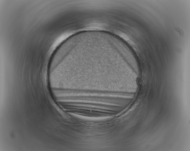 X0000114221469200911061456