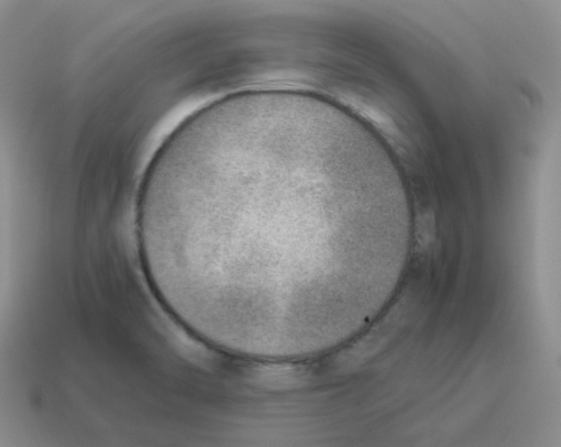 X0000114221470200911061456