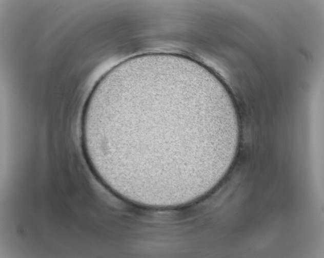 X0000114221471200911061456