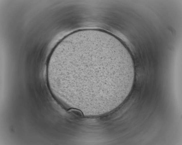 X0000114221472200911061456