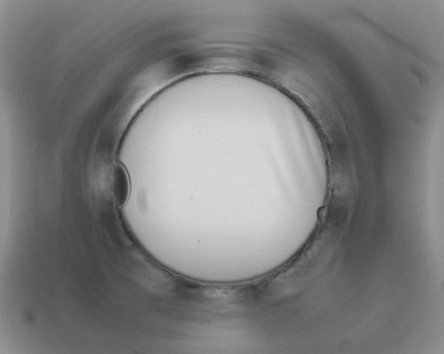 X0000114221473200911061456