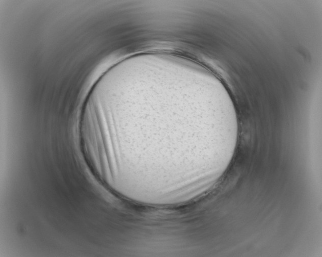 X0000114221475200911061456