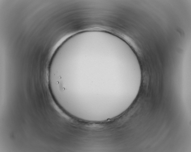 X0000114221476200911061456