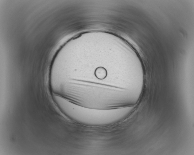 X0000114221477200911061456