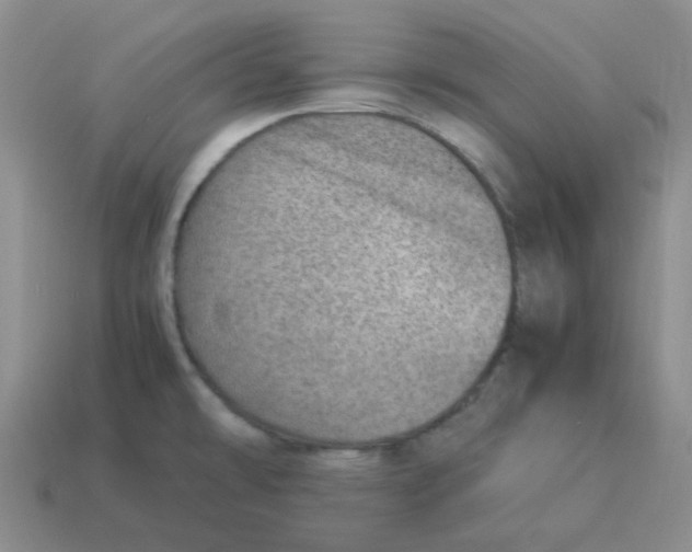 X0000114221478200911061456