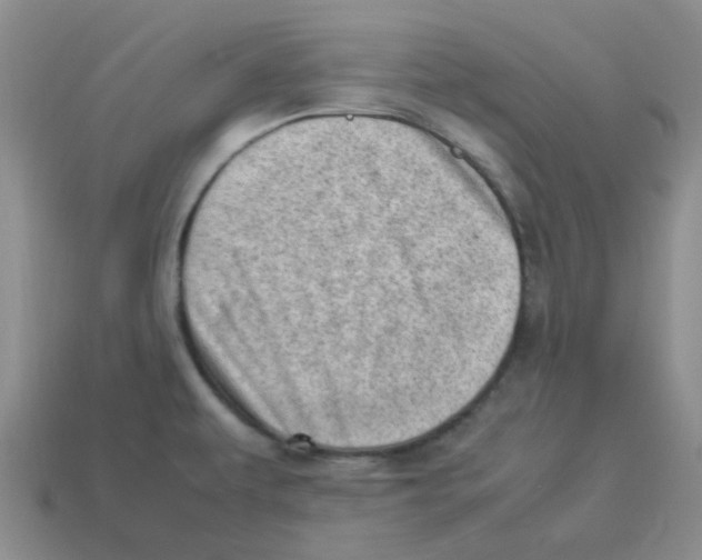 X0000114221479200911061456