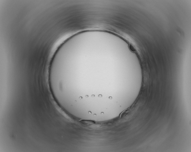 X0000114221480200911061456