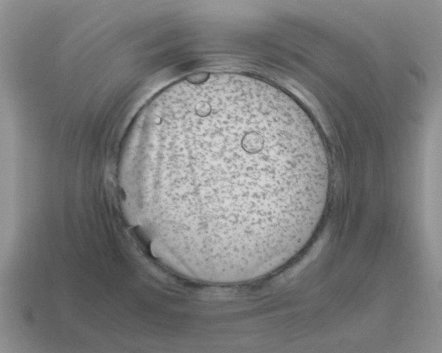 X0000114221481200911061456