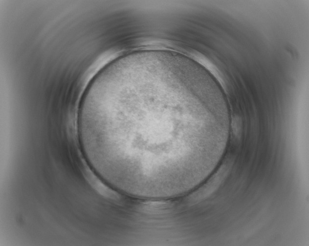 X0000114221482200911061456