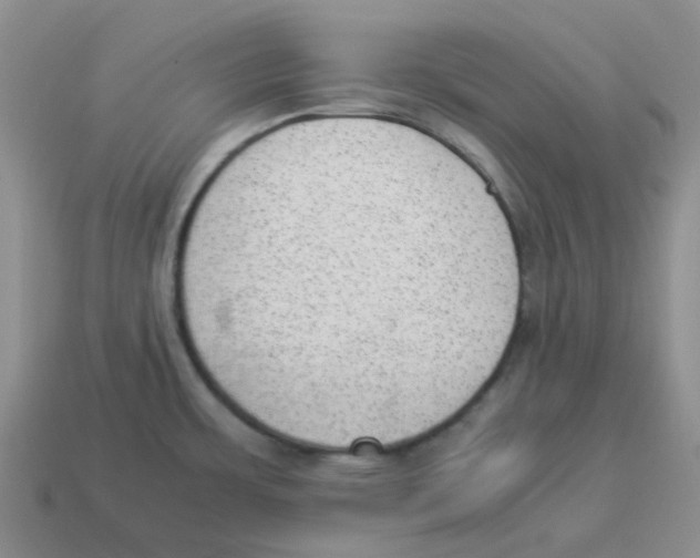 X0000114221483200911061456