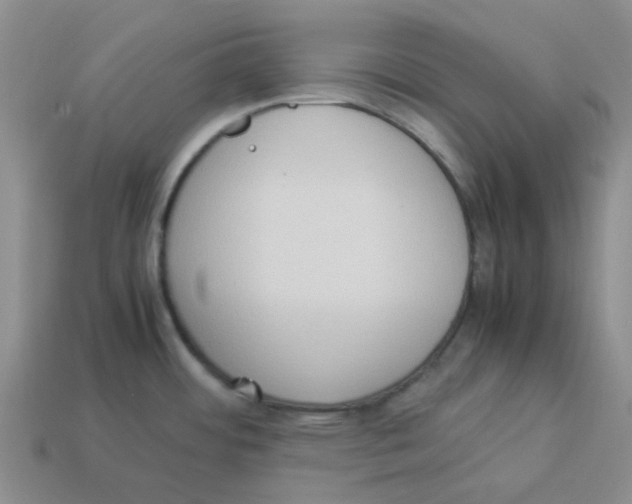 X0000114221484200911061456