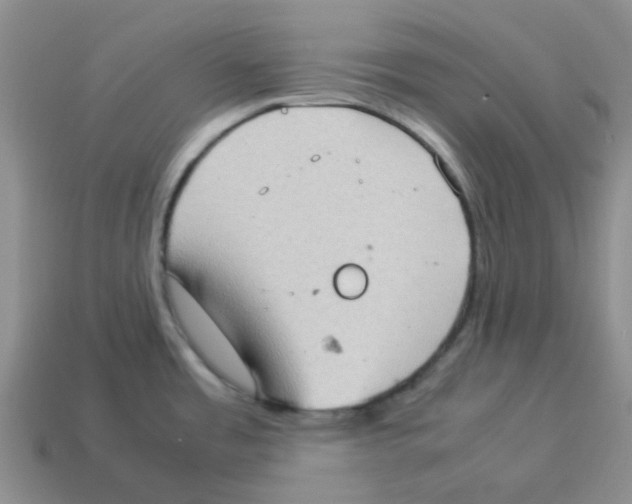 X0000114221485200911061456