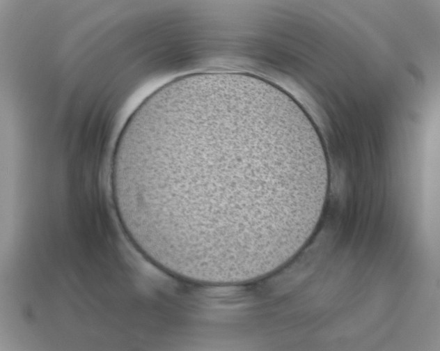 X0000114221486200911061456