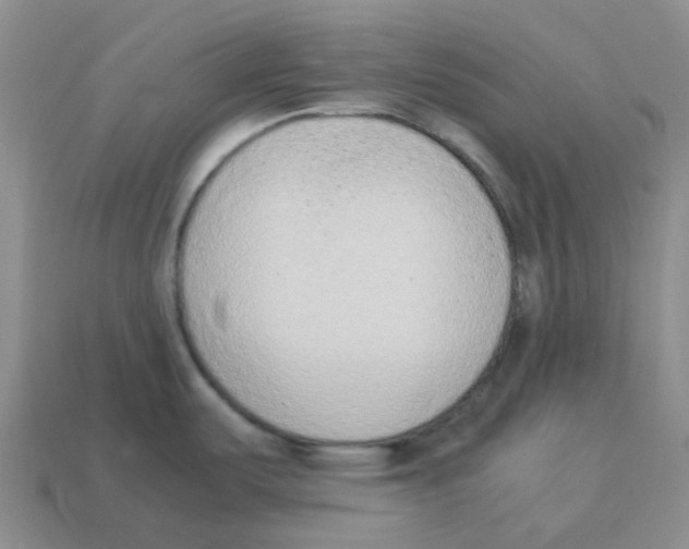 X0000114221487200911061456