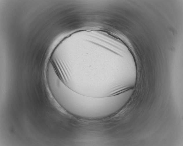 X0000114221488200911061456