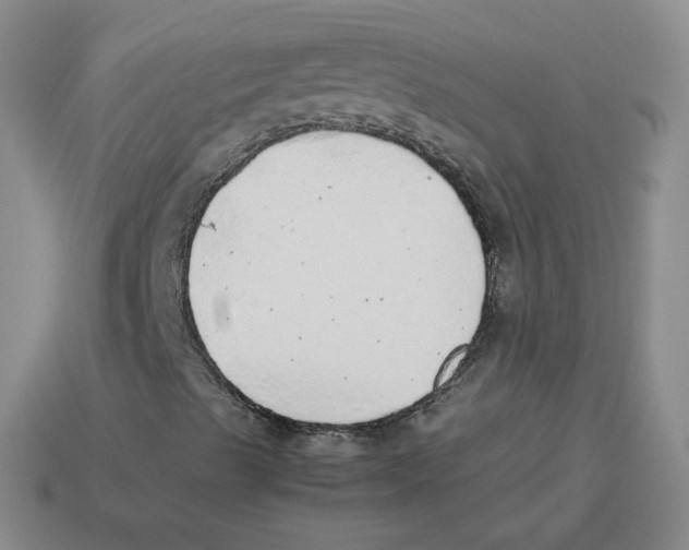 X0000114221489200911061455