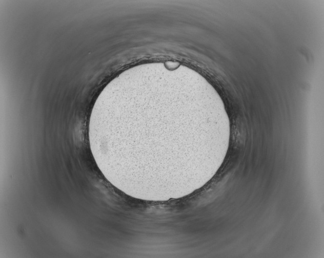 X0000114221490200911061455