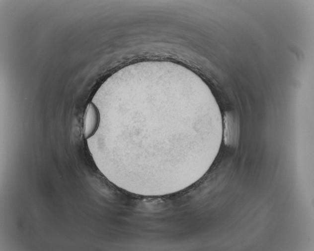 X0000114221491200911061455