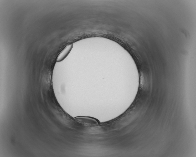 X0000114221492200911061455