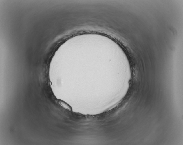 X0000114221494200911061455