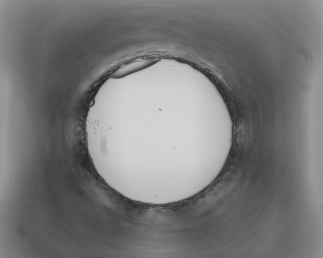 X0000114221496200911061455