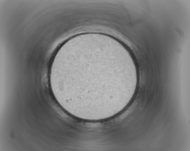 X0000114221498200911061455