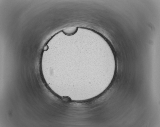 X0000114221500200911061455