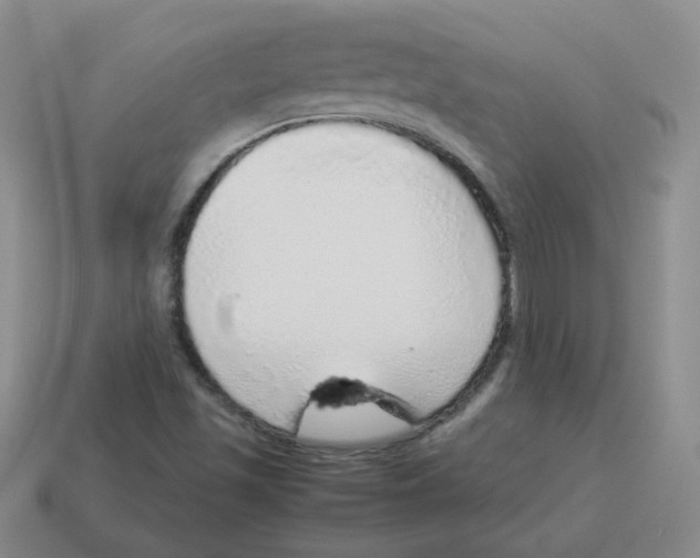 X0000114221501200911061455