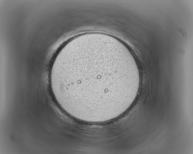 X0000114221503200911061455