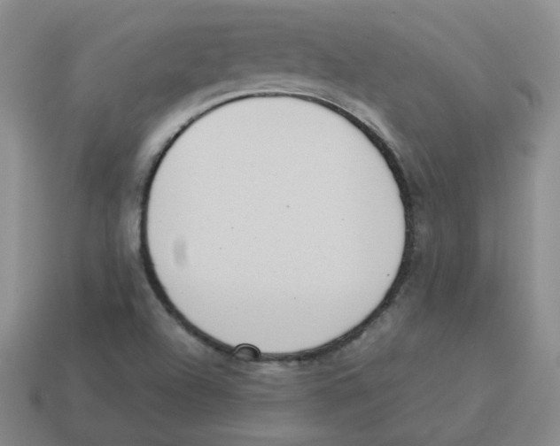 X0000114221504200911061455